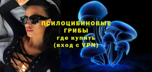 СК Волосово
