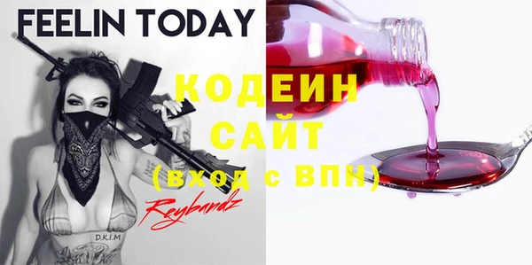 СК Волосово