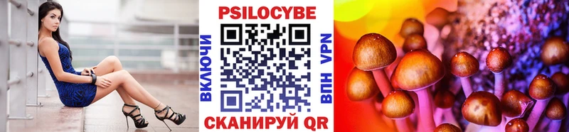 Галлюциногенные грибы Cubensis  Медногорск 